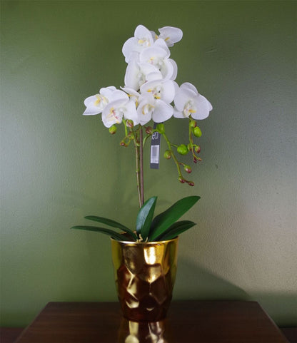 54cm Artificial White Orchid Plant with Gold Pot