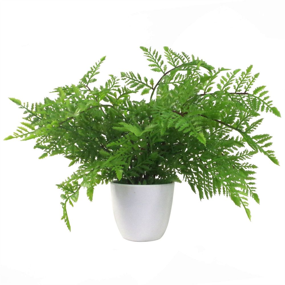 30cm Artificial Southern Wood Fern in Pot, Lush and Green