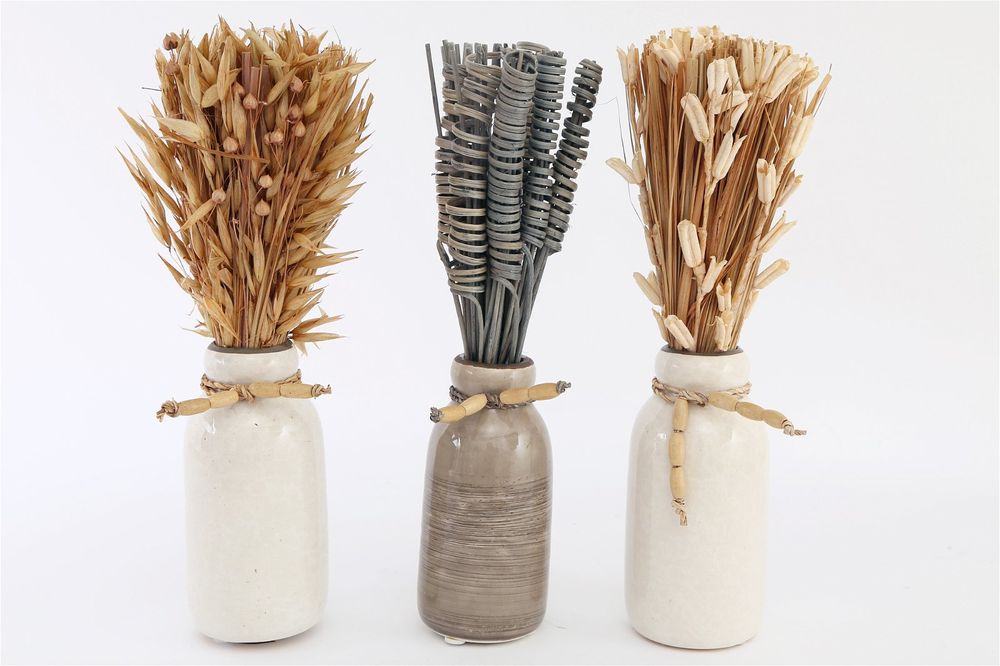 Set of 3 Dried Decorative Vases, Elegant and Rustic