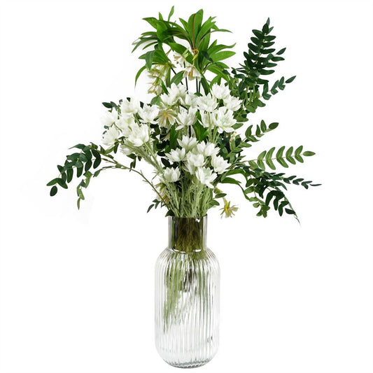 75cm White Starflower Display in Ombre Glass Vase, Elegant and Stylish