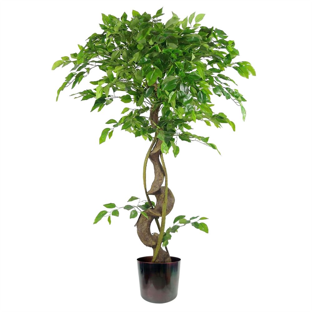 120cm Twisted Trunk Artificial Japanese Fruticosa Style Ficus Tree