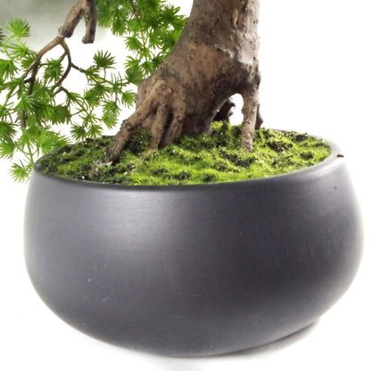 50cm Artificial Pine Bonsai Tree, Luxurious and Stylish