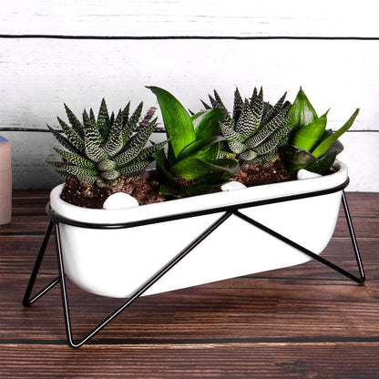 Oval Desktop Planter, Stylish and Compact