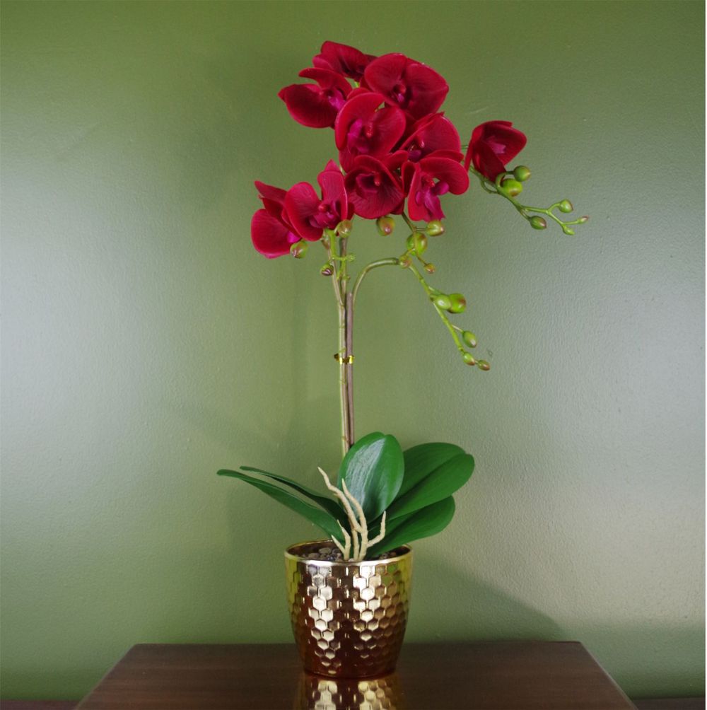 50cm Artificial Phalaenopsis Orchid in Dark Red with Gold Pot