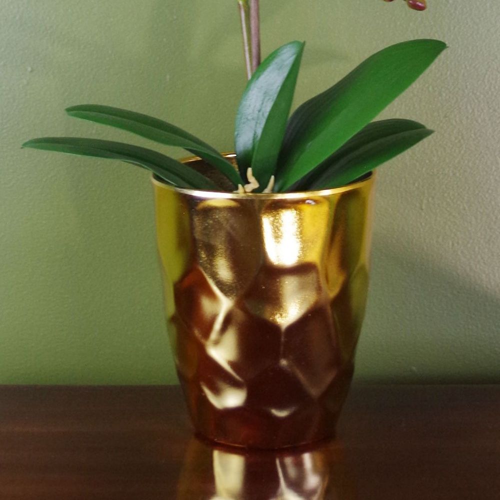 54cm Artificial White Orchid Plant with Gold Pot