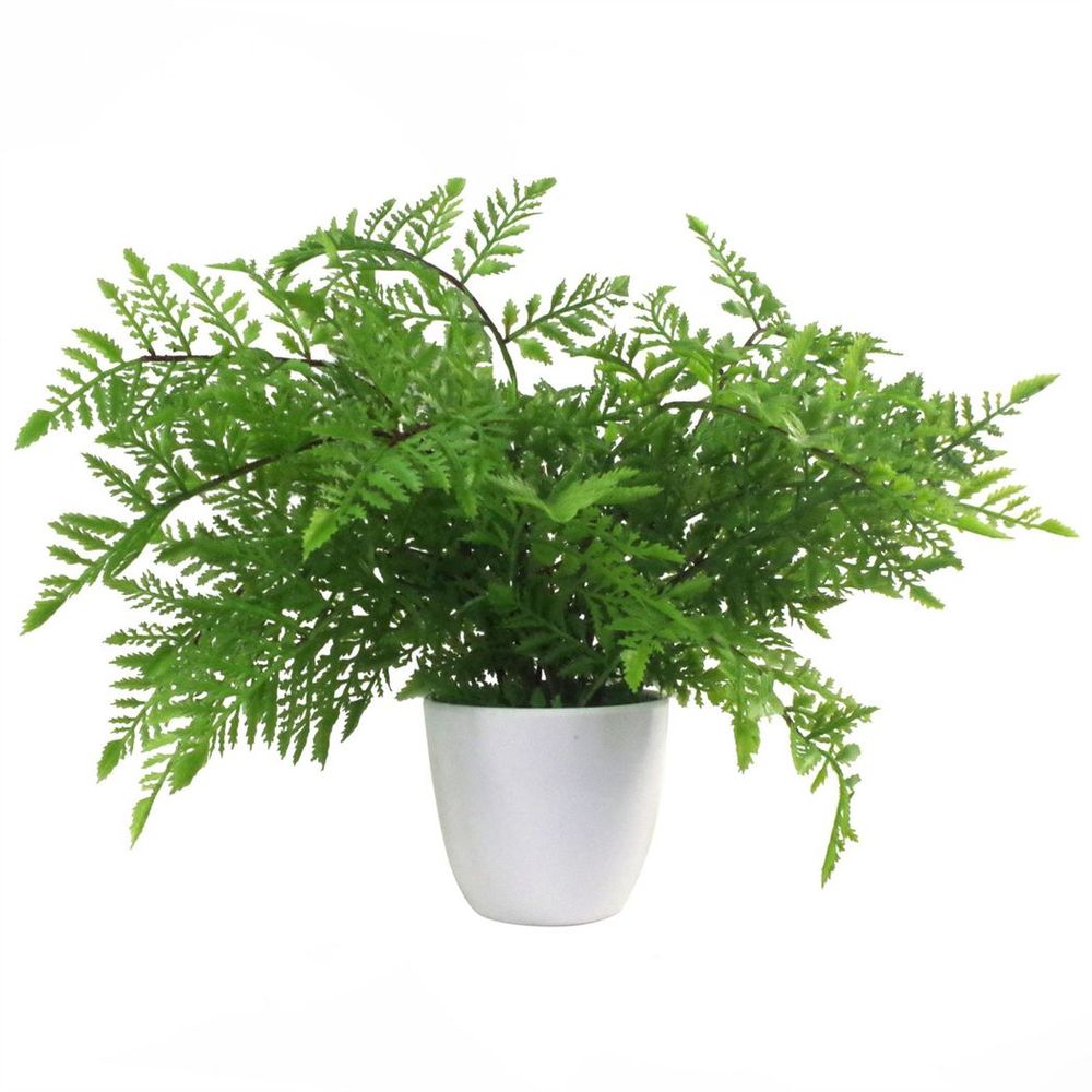 30cm Artificial Southern Wood Fern in Pot, Lush and Green