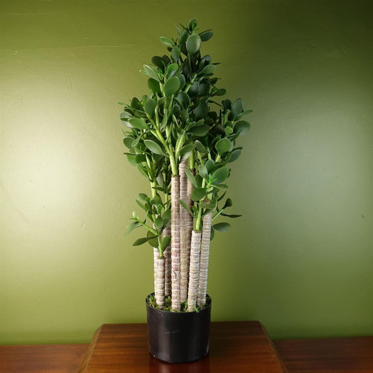 Artificial Deluxe 75cm Green Jade Plant